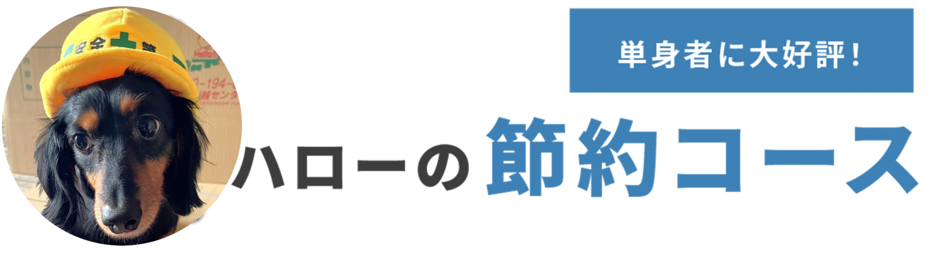 節約コース