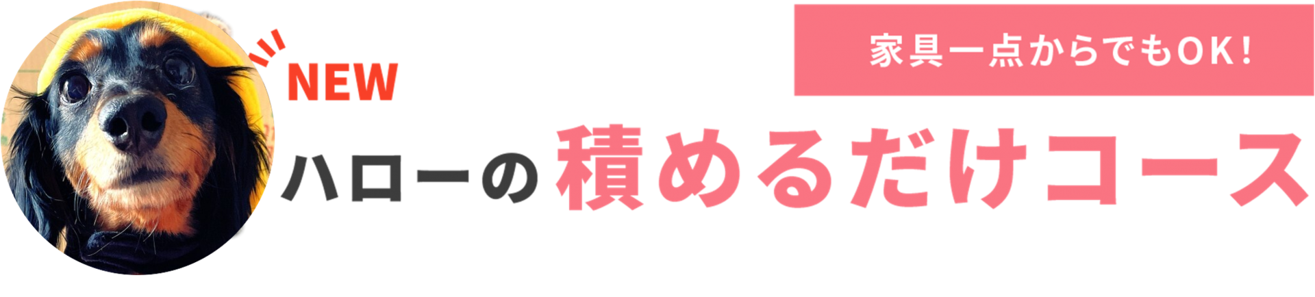 積めるだけコース